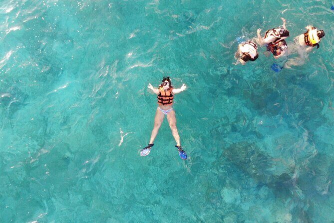 Sian Ka'an Boat Experience from Riviera Maya to Tulum - Wildlife Spotting Without Chasing: Birds, Dolphins, Turtles, Crocs