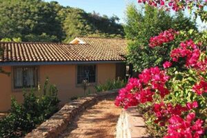 Sierra Madre Villages Half-Day Cultural Tour - Presidio River Brickmaking: The Slow, Hot Work Behind Handmade Bricks