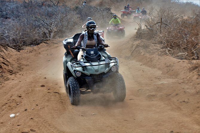 Single ATV Tour from Migriño Beach & Desert - Desert Dunes and Cactus Learning That Doesn’t Feel Like Class