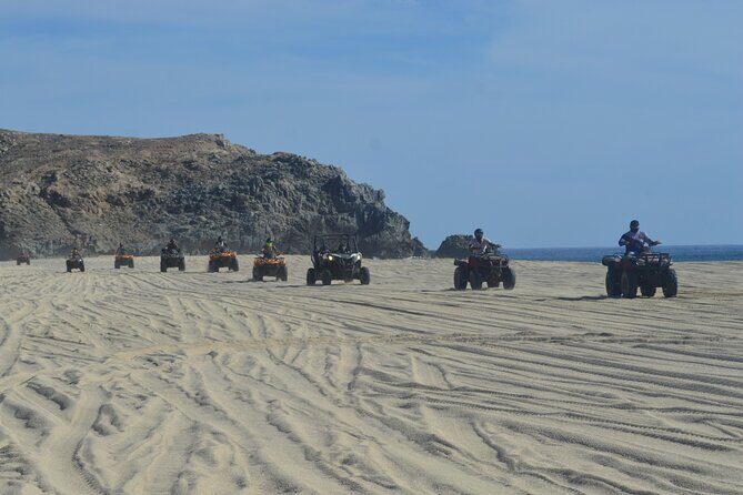 Single ATV Tour from Migriño Beach & Desert - Ocean and Wildlife Views From the ATV (The Real Payoff)