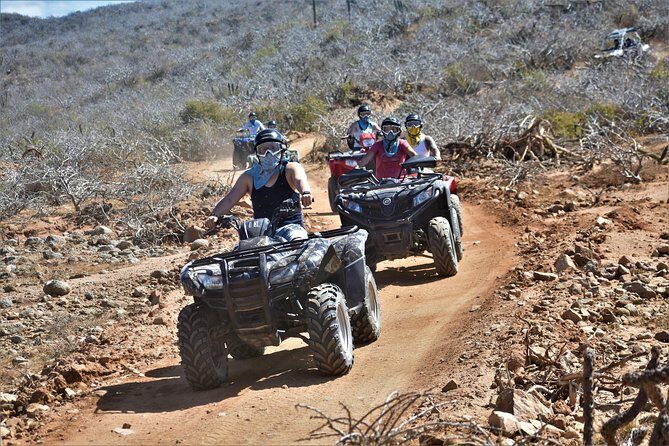 Single ATV Tour from Migriño Beach & Desert - Safety Gear, Rules, and the Collision Insurance Question