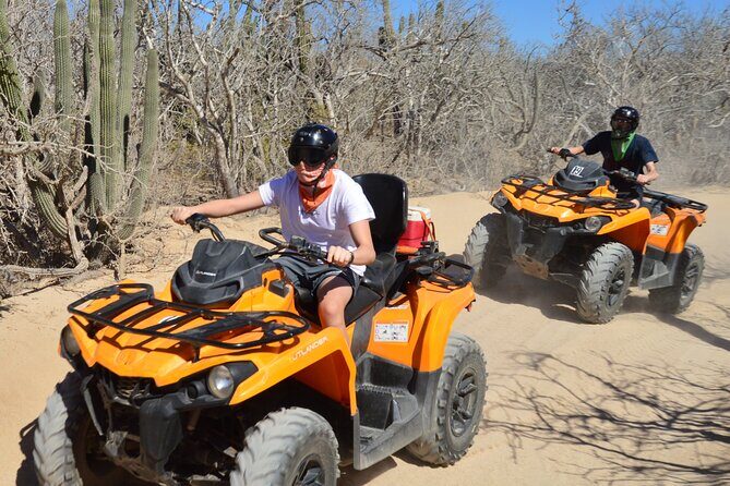 Single ATV Tour from Migriño Beach & Desert - Migriño Beach, Mangroves, and Whale-Season Magic