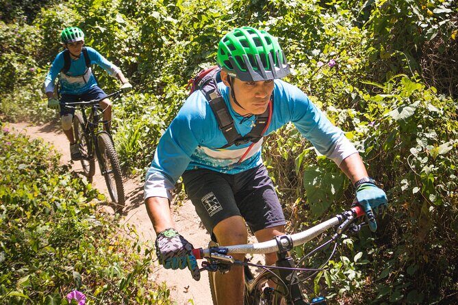 SINGLETRACK MOUNTAIN BIKE - Guided through the jungle - Value for $115: What You Get (and What You Bring)