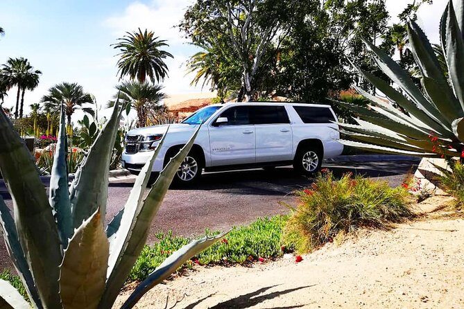 SJD Airport to San Jose del Cabo - one way service - Key things I’d zero in on