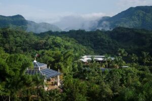 Skip the Line: Vallarta Botanical Garden Admission Ticket - Skip-the-line style tickets: how to use your mobile admission