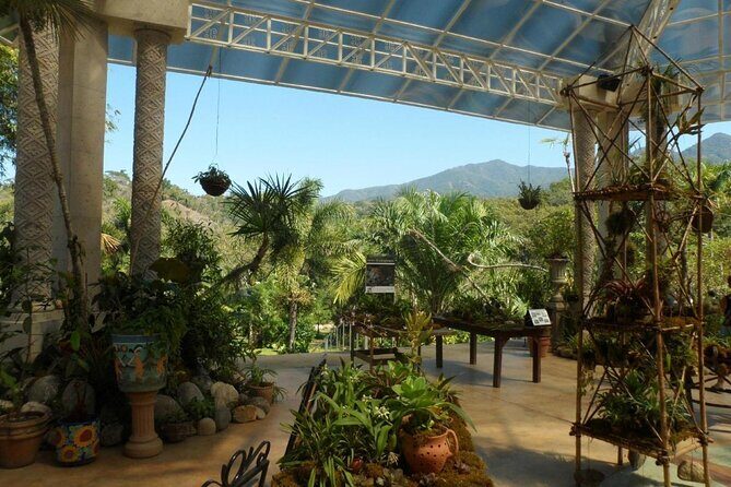 Skip the Line: Vallarta Botanical Garden Admission Ticket - Plant houses and the mix of Mexican flora plus worldwide exotics