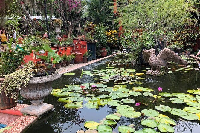 Skip the Line: Vallarta Botanical Garden Admission Ticket - Winter guide vs year-round self-guided exploring