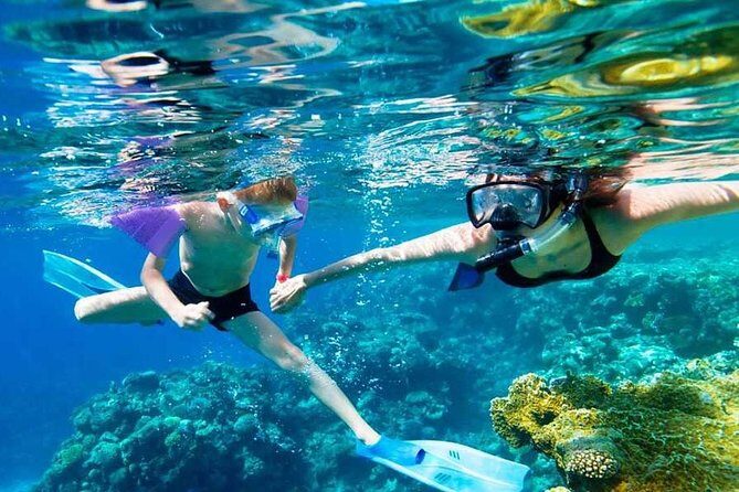 SkyReef Cozumel Snorkel & Tequila Tasting - Price and value: what you’re really paying for