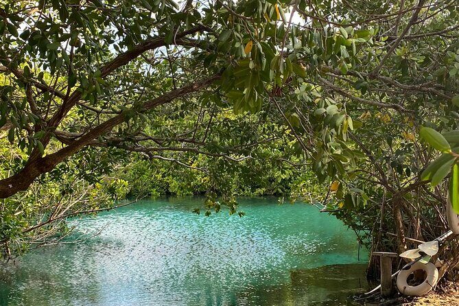 Small-Group 3 Cenotes Adventure Tour - Snorkeling and cave-walking tips that make or break it