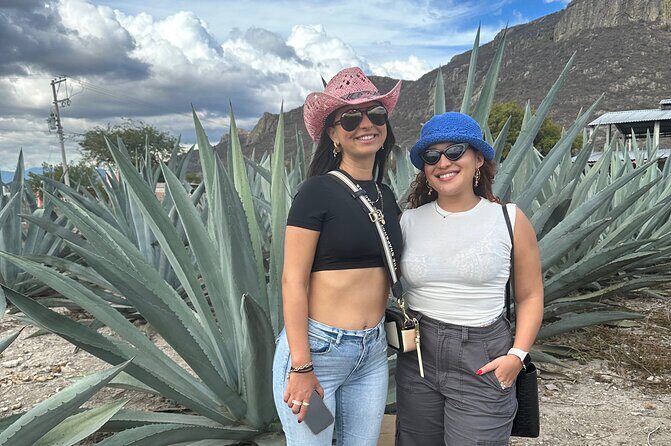 Small Group Boerve del Agua and Mezcal Tour from Oaxaca Centro - Lunch at the buffet stops: Mitla and the Hierve area meal reality