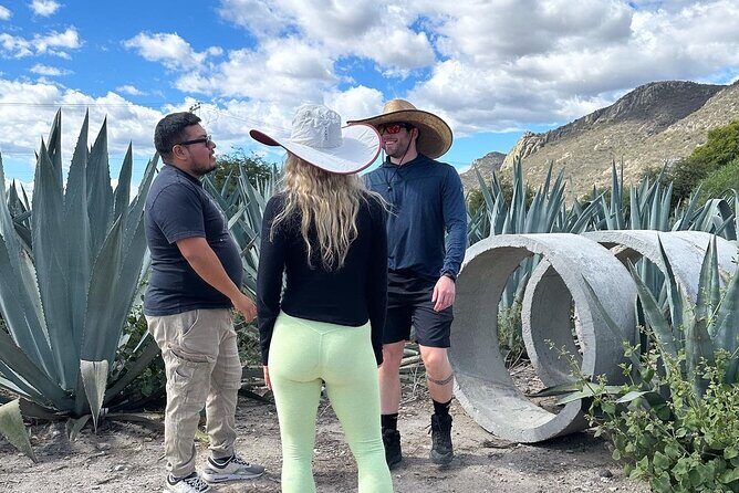 Small Group Boerve del Agua and Mezcal Tour from Oaxaca Centro - Tour pace, group size, and why “small group” can still mean a busy day