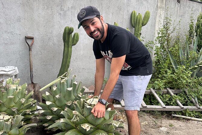 Small Group Boerve del Agua and Mezcal Tour from Oaxaca Centro - Price and value: what your $71.69 covers versus what you’ll likely pay extra