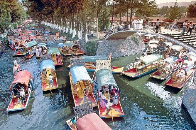Small Group: Discover Xochimilco, Coyoacán, Frida Kahlo Museum and House - Xochimilco by Tranjinera: The Water-Time You Actually Want