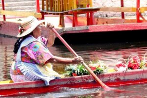 Small Group: Discover Xochimilco, Coyoacán, Frida Kahlo Museum and House - Coyoacán on Foot: Church Views and Colorful Streets