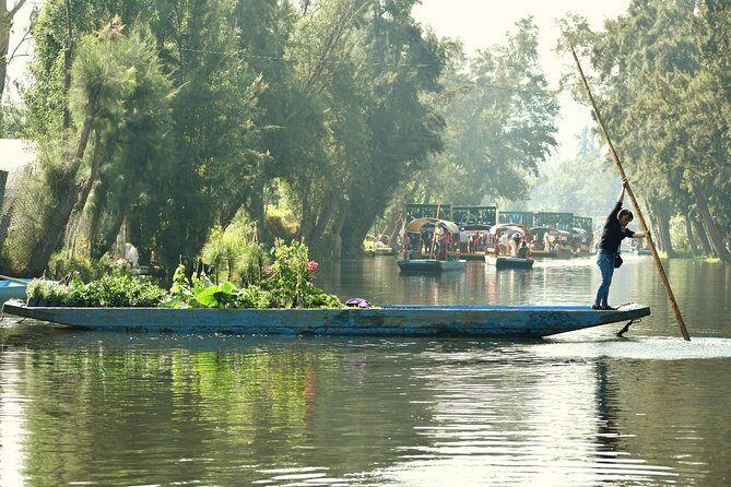 Small Group: Discover Xochimilco, Coyoacán, Frida Kahlo Museum and House - Museo Frida Kahlo: How the Blue House Visit Works