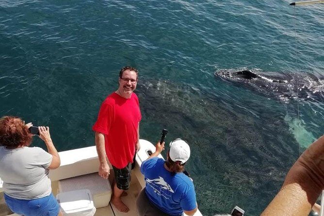 Small-Group Half-Day Whale-Watching Tour in Puerto Vallarta - Respecting the whales: safe distances and moving when it matters