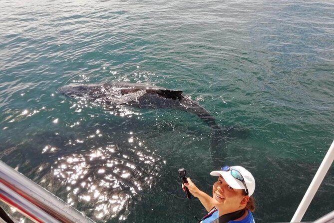 Small-Group Half-Day Whale-Watching Tour in Puerto Vallarta - Boat comfort, shade, and why the max of 12 feels right