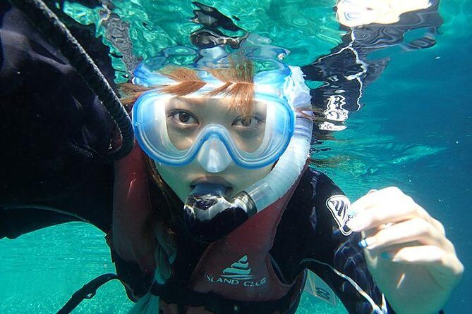 Small-Group Mesoamerican Barrier Reef Snorkeling in Puerto Morelos - Key Highlights You’ll Care About Most