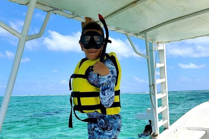 Small-Group Mesoamerican Barrier Reef Snorkeling in Puerto Morelos - Puerto Morelos Reef Snorkeling That Fits Real Schedules
