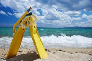 Small-Group Snorkel Adventure in San Jose del Cabo - Getting started at Salty Cabo (and why the location matters)