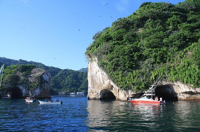 Small Group Snorkeling in Los Arcos, Puerto Vallarta - Fitness level and who will enjoy this most