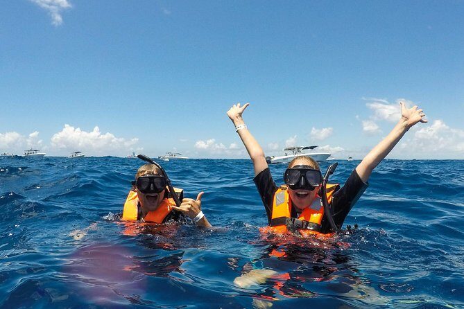 Small Group Whale Shark Encounter - 10 years in business - Playa Norte whale shark snorkeling: how the guide keeps you close