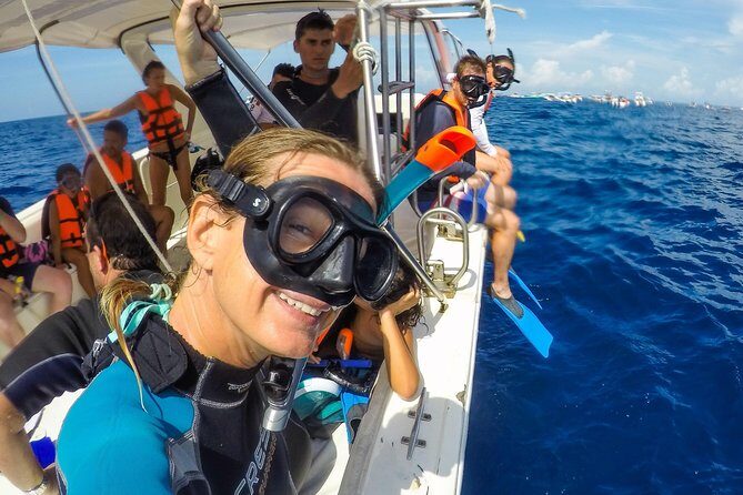Small Group Whale Shark Encounter - 10 years in business - Price and true value: what $199 turns into