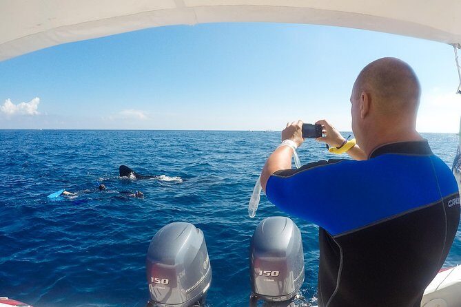 Small Group Whale Shark Encounter - 10 years in business - Safety, comfort, and who this is (and isn’t) for