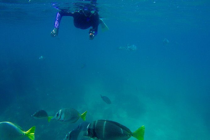 Snorkel Adventure and Hike to a Hidden Beach - Your guides: marine life talk plus real-world care