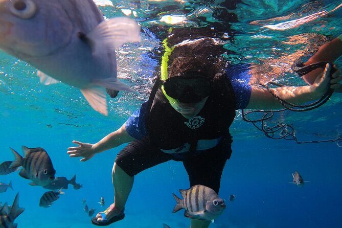 Snorkel along the coast, explore two reefs by Chivis del Mar - Cost breakdown: what you pay and what costs extra