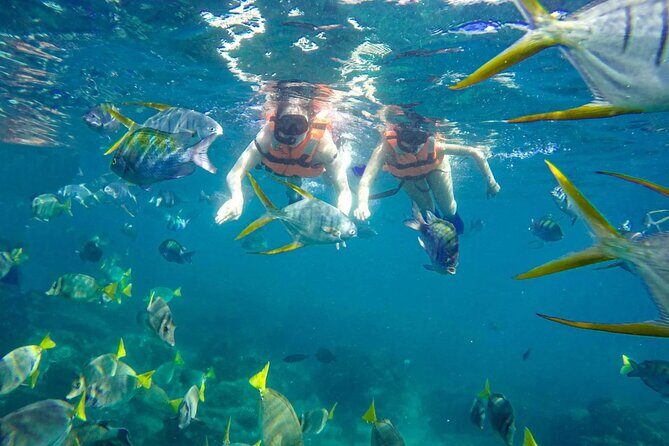 Snorkel and arch tour in los cabos - A Small-Group Cabo Boat Trip: El Arco, Drinks, and Snorkel Time