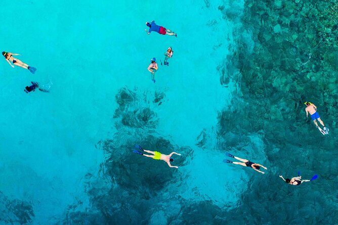 Snorkel and arch tour in los cabos - Price and What You Get for $71.69: Value Check