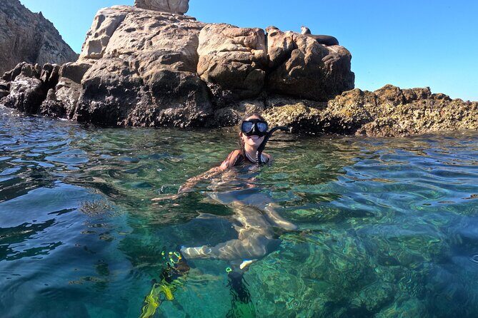 Snorkel and arch tour in los cabos - Meeting at the Marina: Where the Tour Starts (and Why Location Helps)