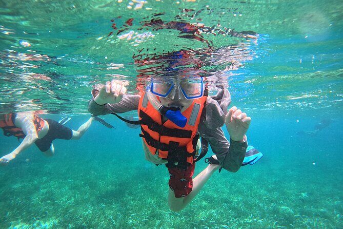 Snorkel at the Reef 2 HOURS Puerto Morelos National park - Key Points Before You Go