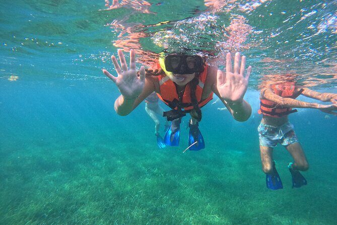 Snorkel at the Reef 2 HOURS Puerto Morelos National park - Guides On the Reef: How You Get Better Wildlife Spotting