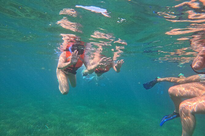 Snorkel at the Reef 2 HOURS Puerto Morelos National park - Price and Value Check: Is $43 Worth It?