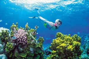 Snorkel, ATV, Zipline and Cenote Adventure from Cancun - The Big Picture: What This Cancun Combo Really Delivers