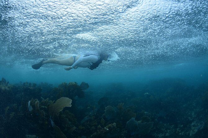 Snorkel, ATV, Zipline and Cenote Adventure from Cancun - Transportation and Weather: What Changes When the Ocean Gets Angry