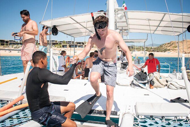 Snorkel Cruise in Los Cabos - Whale and sea lion chances: the bonus that depends on the season