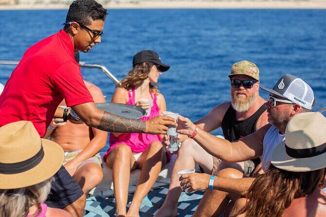 Snorkel Cruise in Los Cabos - Pickup, meeting point, and timing: how to avoid stress at the marina