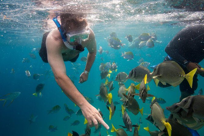 Snorkel & Explore Pelican Rock by Glass Boat + Photos - Lunch, Beach Time, Tequila Tasting, and Cabo Shopping