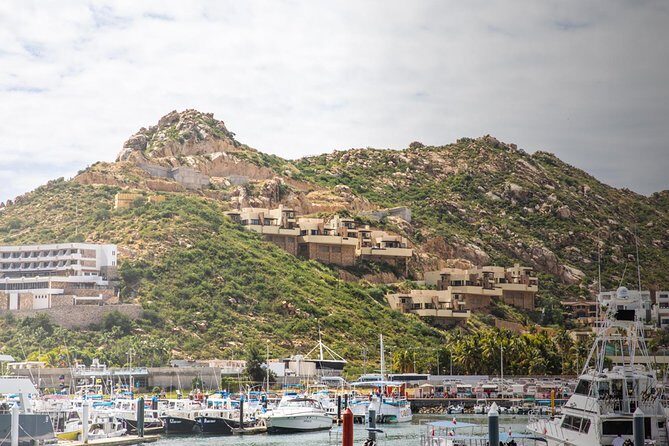 Snorkel & Explore Pelican Rock by Glass Boat + Photos - How Much Value $125 Really Buys (and What’s Extra)