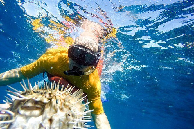 Snorkel & Explore Pelican Rock by Glass Boat + Photos - Who Should Book This Tour (and Who Might Want Something Else)