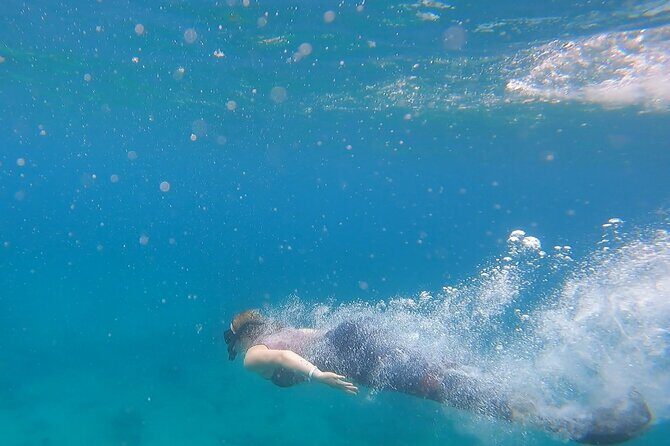 Snorkel Privately in Cabo San Lucas - The Boat and Gear: Clean Setup, Ladder Help, and Included Drinks