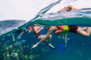 Snorkel Tour and Glass-Bottom Boat Ride in Cabo San Lucas - El Arco and Land’s End: what the boat ride is really for