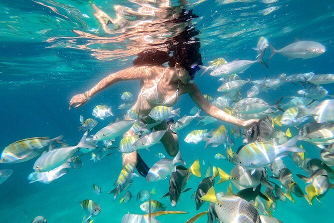 Snorkel Tour and Glass-Bottom Boat Ride in Cabo San Lucas - Pelican Rock snorkeling: marine life, gear, and staying comfortable