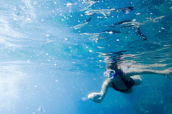Snorkel Tour and Glass-Bottom Boat Ride in Cabo San Lucas - Should you book the Cabo glass-bottom boat and Pelican Rock snorkel?