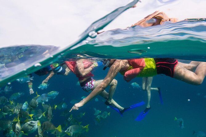 Snorkel Tour and Glass-Bottom Boat Ride in Cabo San Lucas - El Arco and Land’s End: what the boat ride is really for