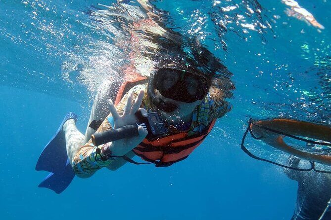 Snorkel Tour at Musa and Manchones Reef - Price and Value: Is $55 Worth It?