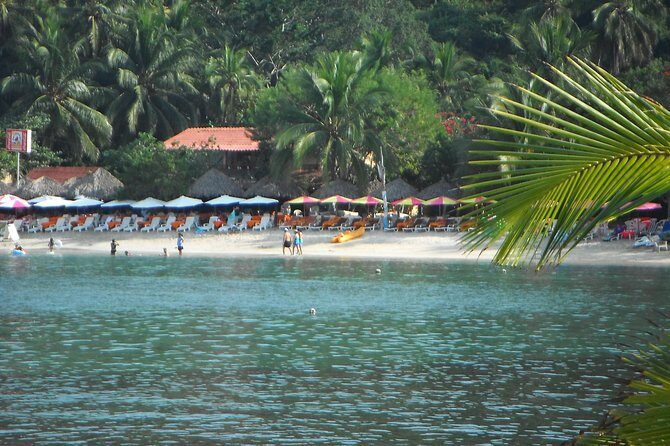 Snorkel Tour in Las Gatas Water Break - A Half-Day That Feels Like a Beach Day, Not a Production